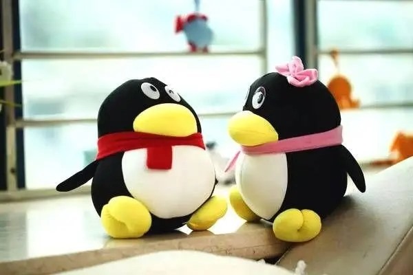 企业QQ账号去哪儿购买?